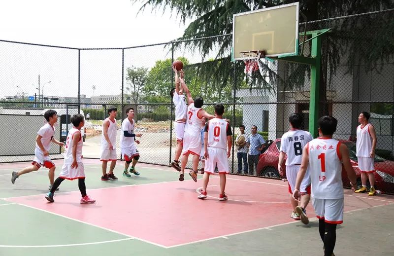 1528350636790646Ytri.jpg 2.jpg